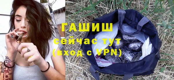 хмурый Алексин