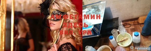хмурый Алексин
