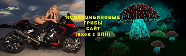 хмурый Алексин